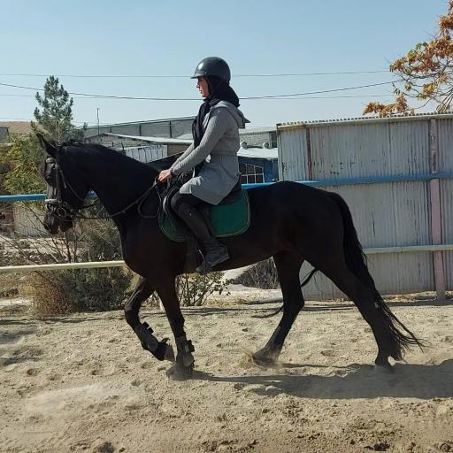 باشگاه سوارکاری کمرد