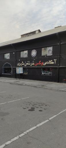 آکادمی بوکس مرتضی شیری