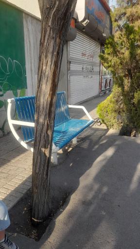 عکس  حسابی 34/1