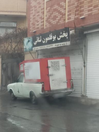 عکس پخش بوقلمون ثنایی