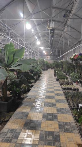 عکس گلخانه تفکر