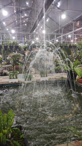 عکس گلخانه تفکر