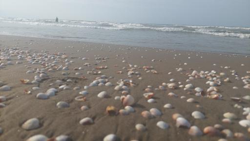 عکس ساحل جفرود