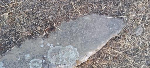 عکس گورستان تاریخی راز