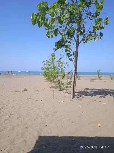 عکس ساحل جفرود