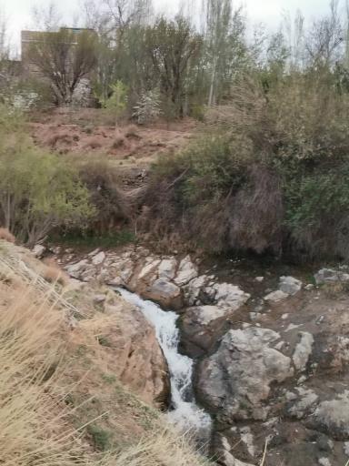 عکس اقامتگاه علی برق ریوش