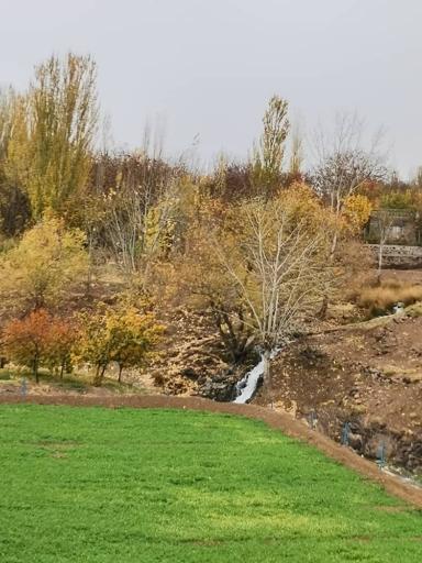 عکس اقامتگاه علی برق ریوش