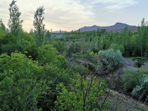 عکس اقامتگاه علی برق ریوش