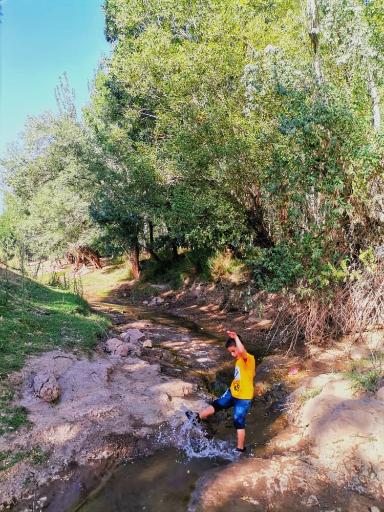 عکس اقامتگاه علی برق ریوش