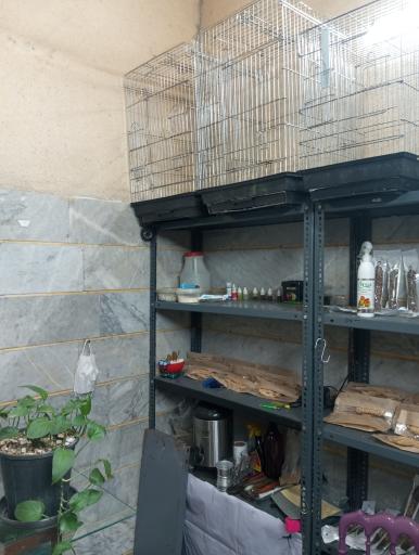 عکس پت شاپ افا