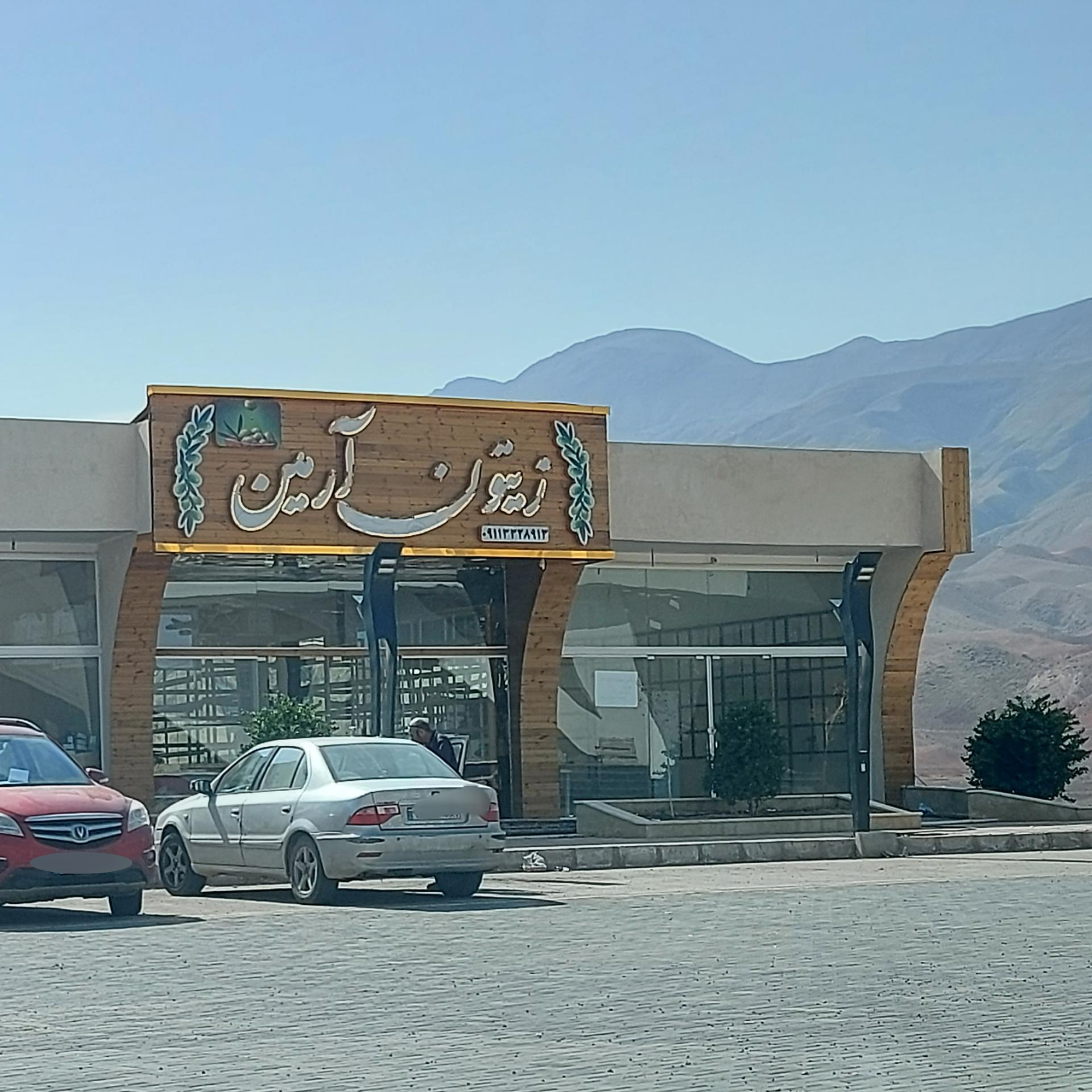 عکس زیتون آرمین 