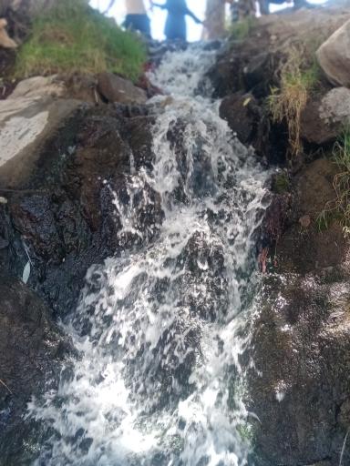 عکس اقامتگاه علی برق ریوش