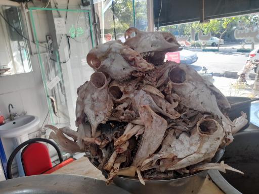 عکس طباخی دوستان