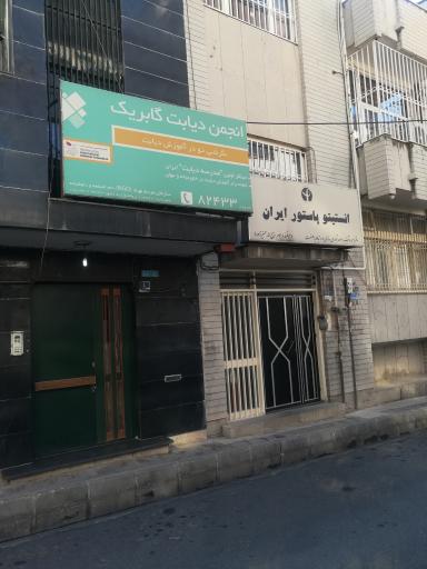 عکس انجمن اطلاع رسانی دیابت گابریک