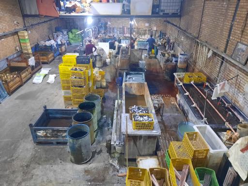 عکس آبکاری پارسا پوشش 