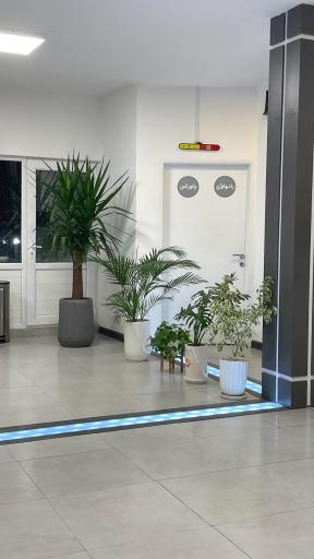 عکس سونوگرافی رادیولوژی دکتر فرج نژاد