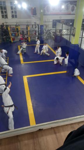 عکس باشگاه رزمی کیوکوشین کاراته