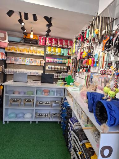 عکس پت شاپ گوگولی