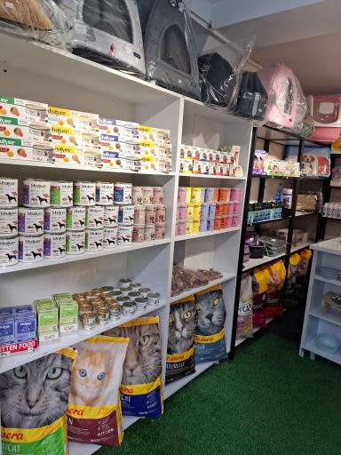 عکس پت شاپ گوگولی