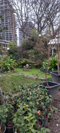 عکس مجتمع گل و گیاه دریا بیشه