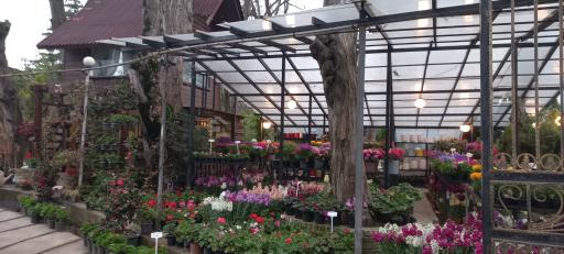 عکس مجتمع گل و گیاه دریا بیشه