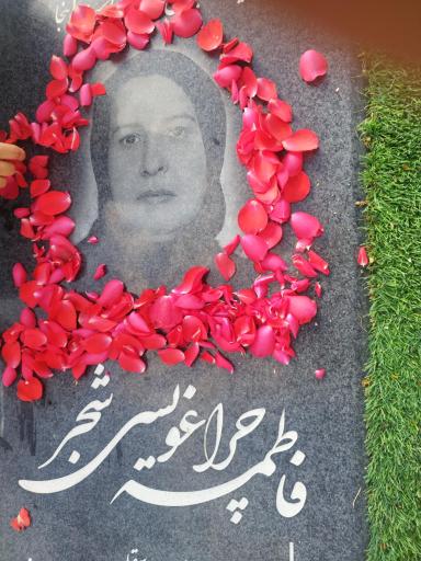 عکس مزار فاطمه چراغویسی