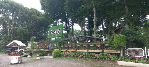 عکس مجتمع گل و گیاه دریا بیشه