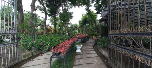 عکس مجتمع گل و گیاه دریا بیشه