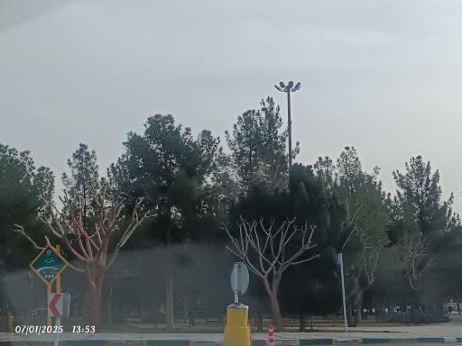 عکس بوستان تیام (گل سرخ)