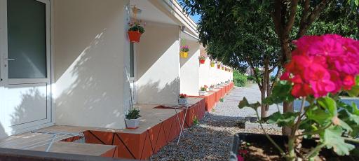 عکس متل آزادی