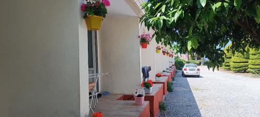 عکس متل آزادی