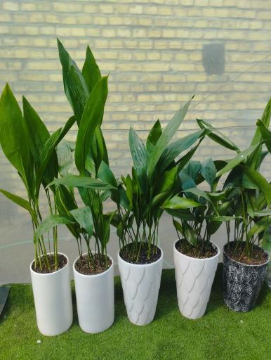 عکس فروشگاه مهراد