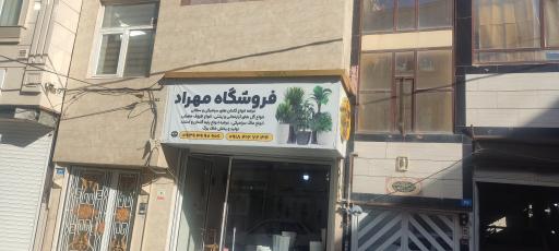 عکس فروشگاه مهراد