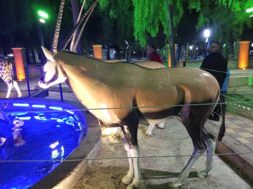 عکس پارک شهر 