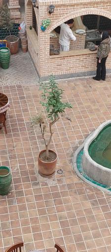 عکس عمارت ملوکانه