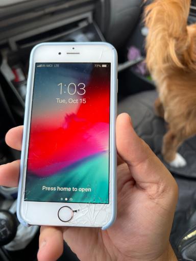 عکس کافی نت مانی