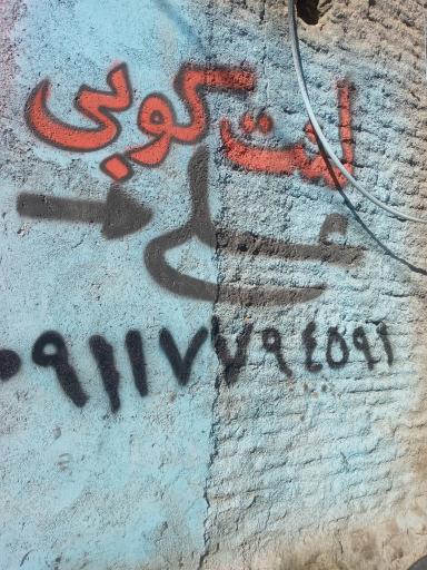 عکس لنت کوبی علی مریانجی