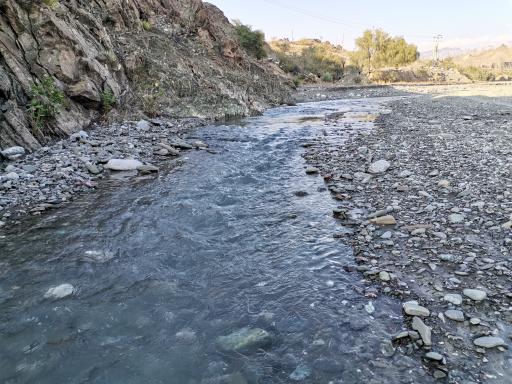 عکس هشت بندی