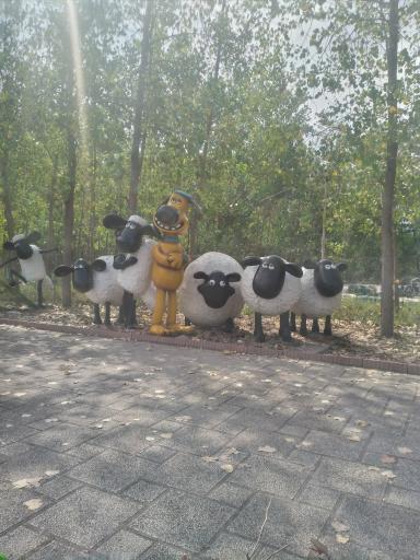 عکس هشت بندی