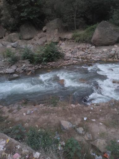 عکس هشت بندی