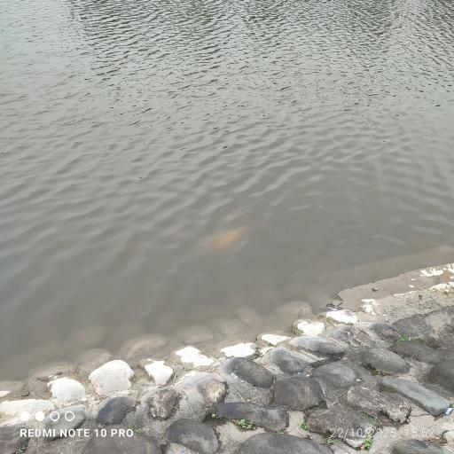 عکس استخر و پارک پاشوران