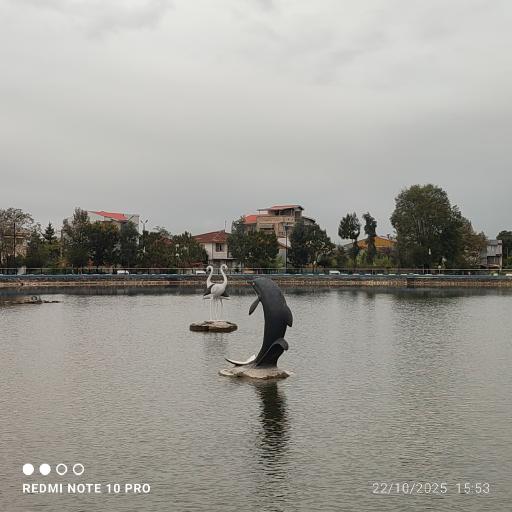 عکس استخر و پارک پاشوران