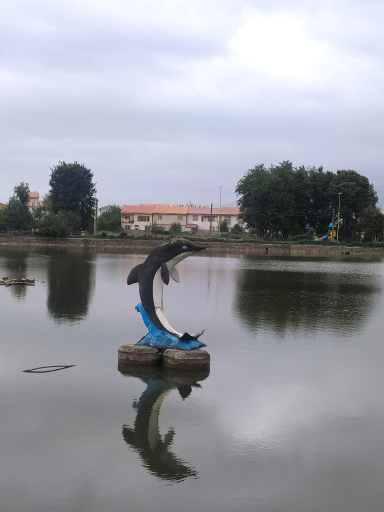 عکس استخر و پارک پاشوران