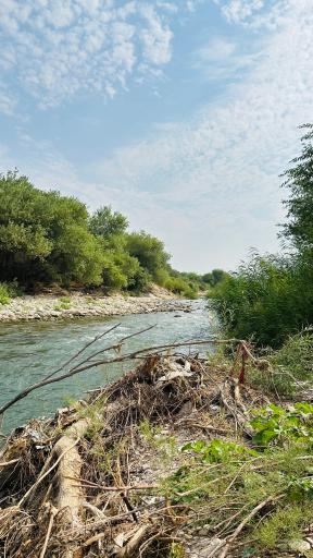 عکس هشت بندی