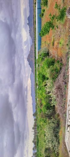 عکس هشت بندی