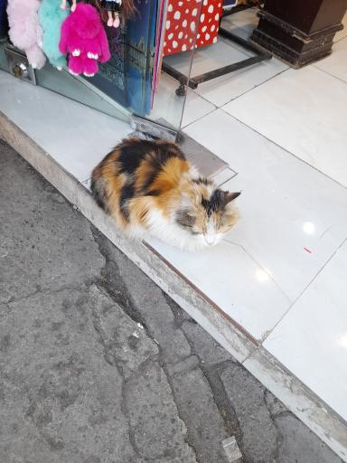 عکس بازارچه خود اشتغالی لاله