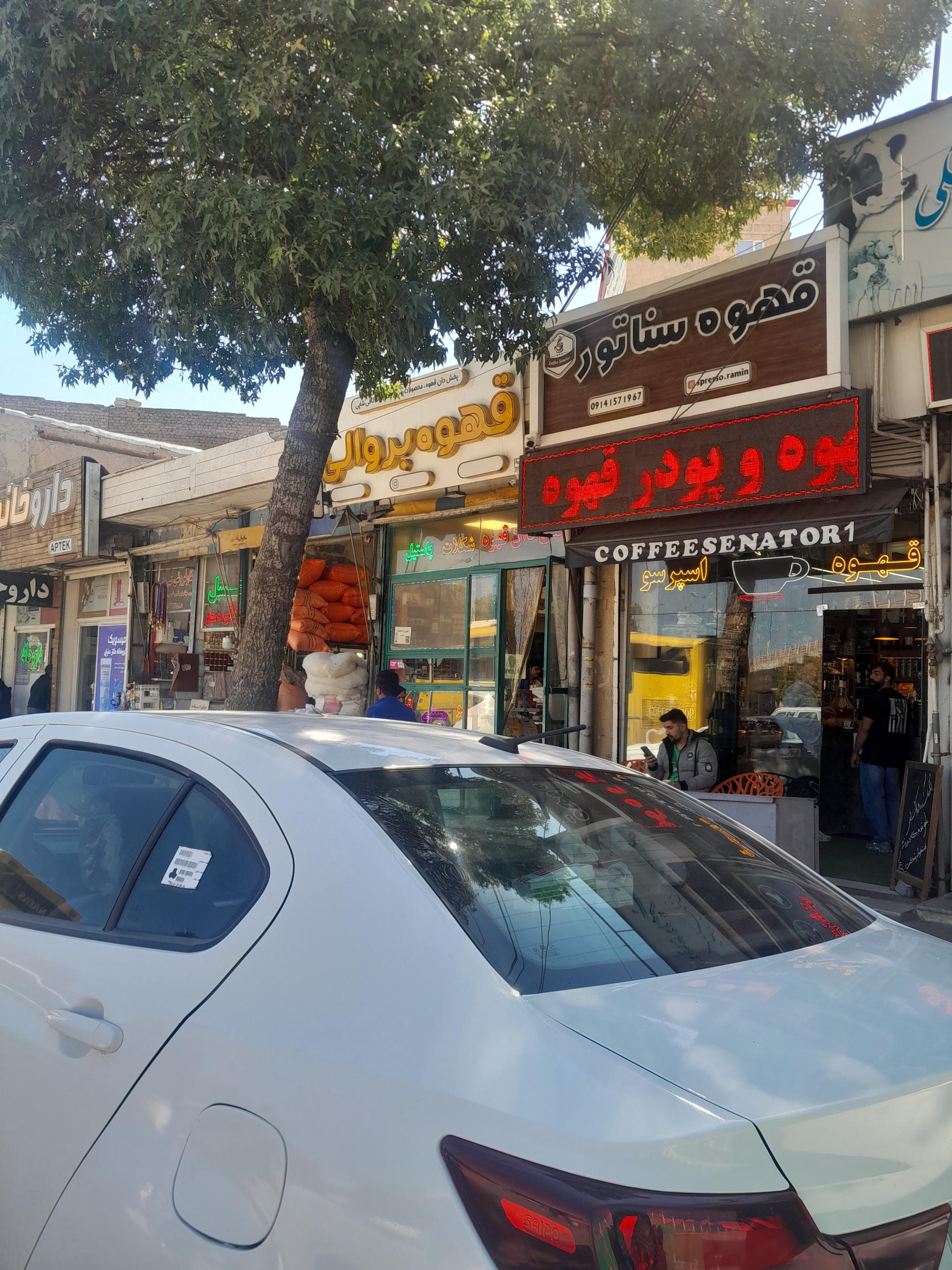 عکس قهوه سناتور