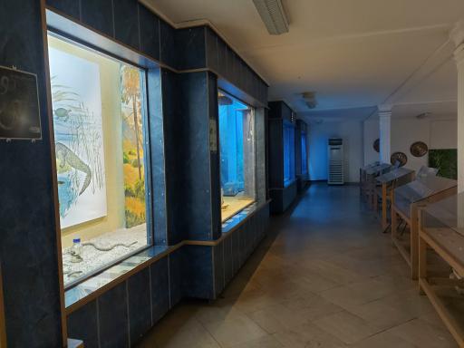 عکس موزه تاریخ طبیعی و تنوع زیستی گیلان