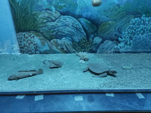 عکس موزه تاریخ طبیعی و تنوع زیستی گیلان