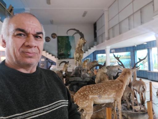 عکس موزه تاریخ طبیعی و تنوع زیستی گیلان